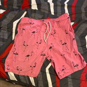 Flamigo shorts